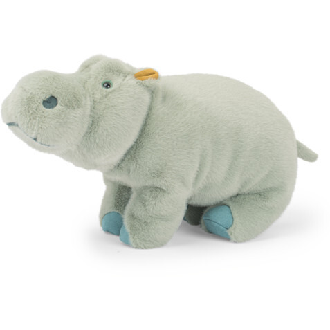 Large hippopotamus - All Around the World