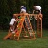Chestnut | Outdoor & Indoor Foldable Jungle Gym - Outdoor Games - 1 - thumbnail