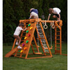 Chestnut | Outdoor & Indoor Foldable Jungle Gym - Outdoor Games - 2