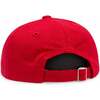 America 250th Baseball Hat, Red - Hats - 4