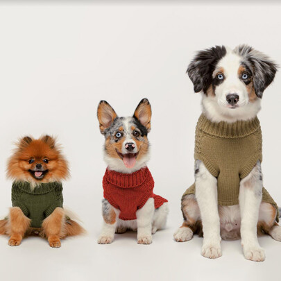fabdog Pet Dog Clothes