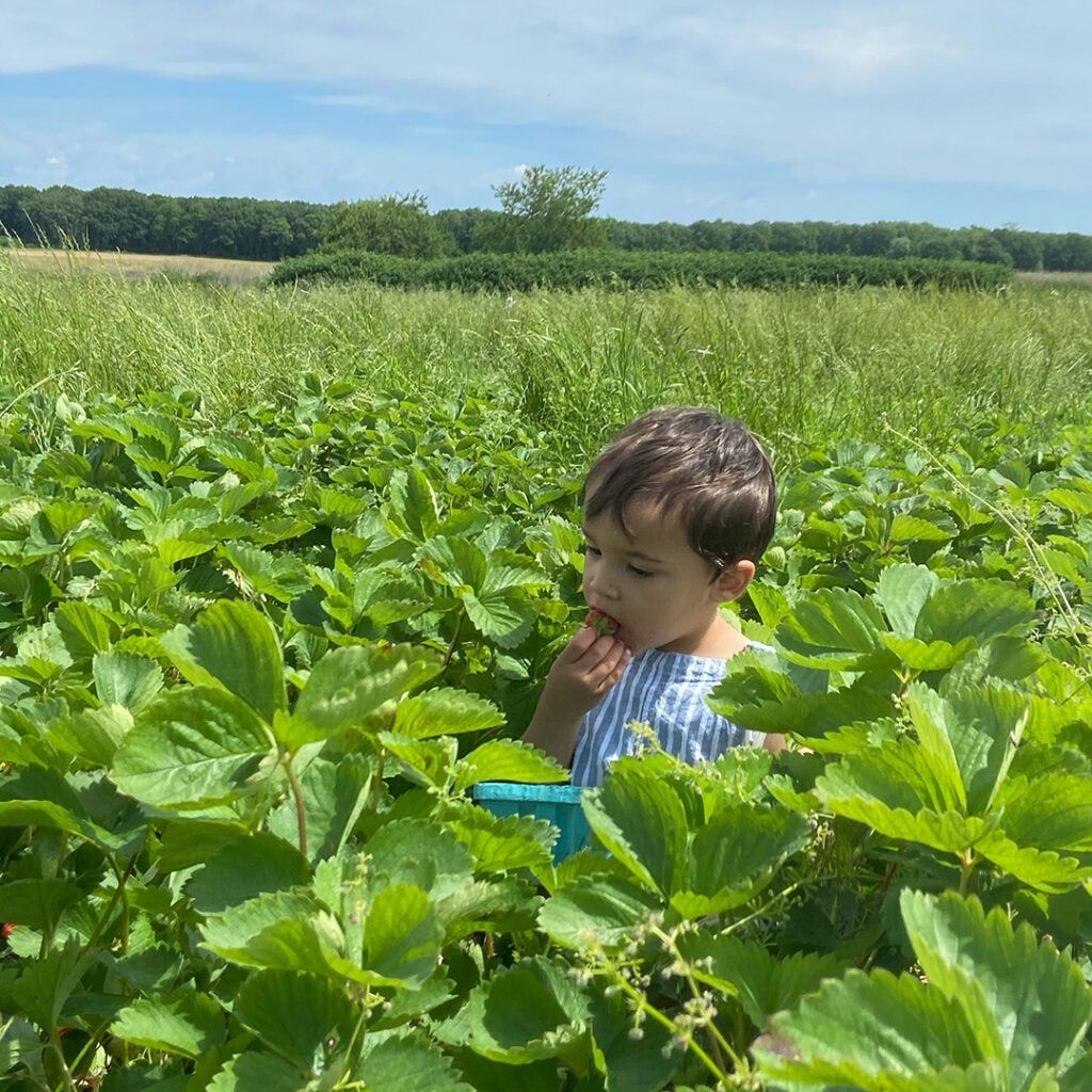 Should We All Be Summer Moms?