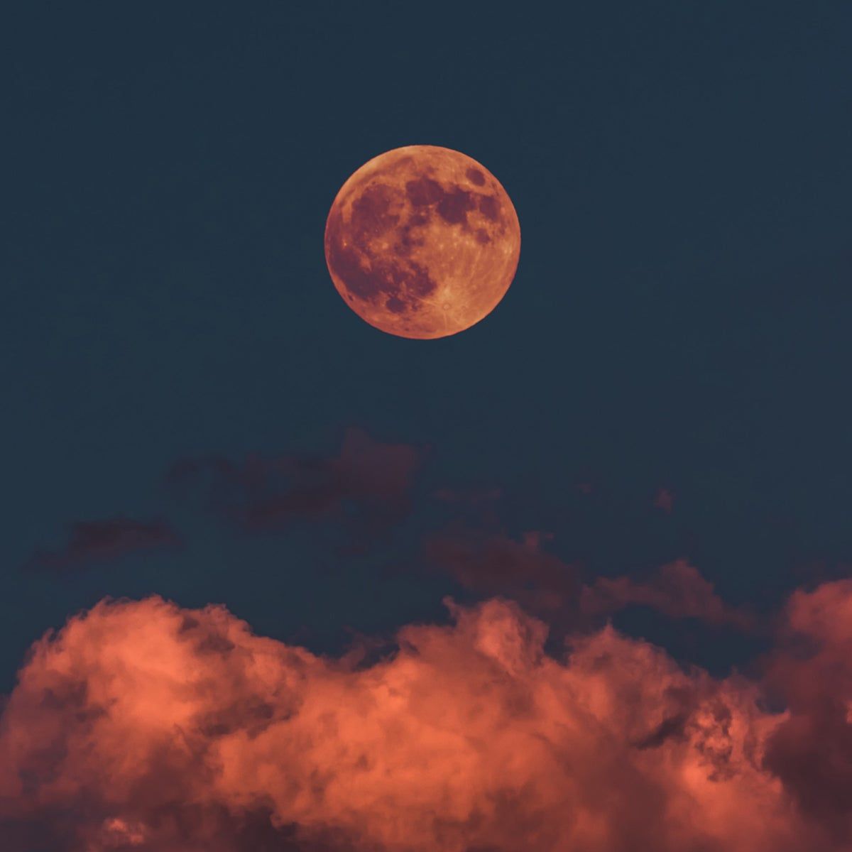 We’ll Take the Supermoon for a Walk