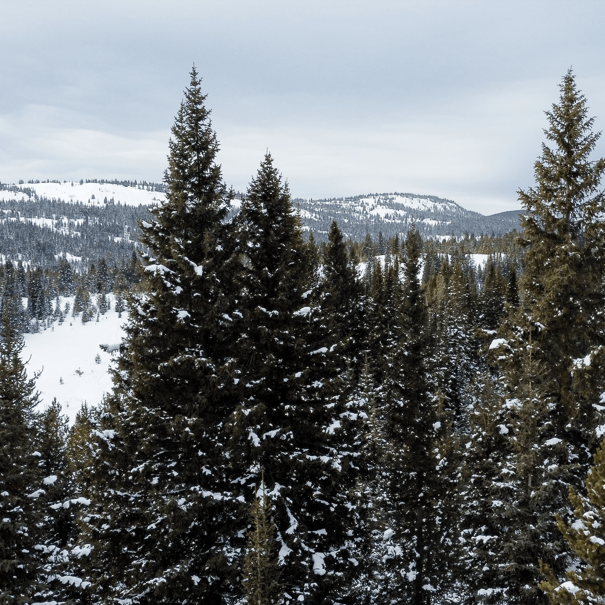 How To Do in Vail With Kids